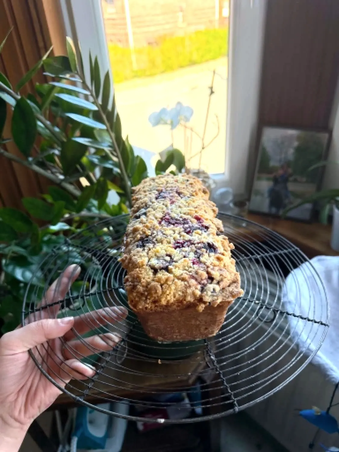 Cake aux framboises recouvert de crumble, posé sur une grille